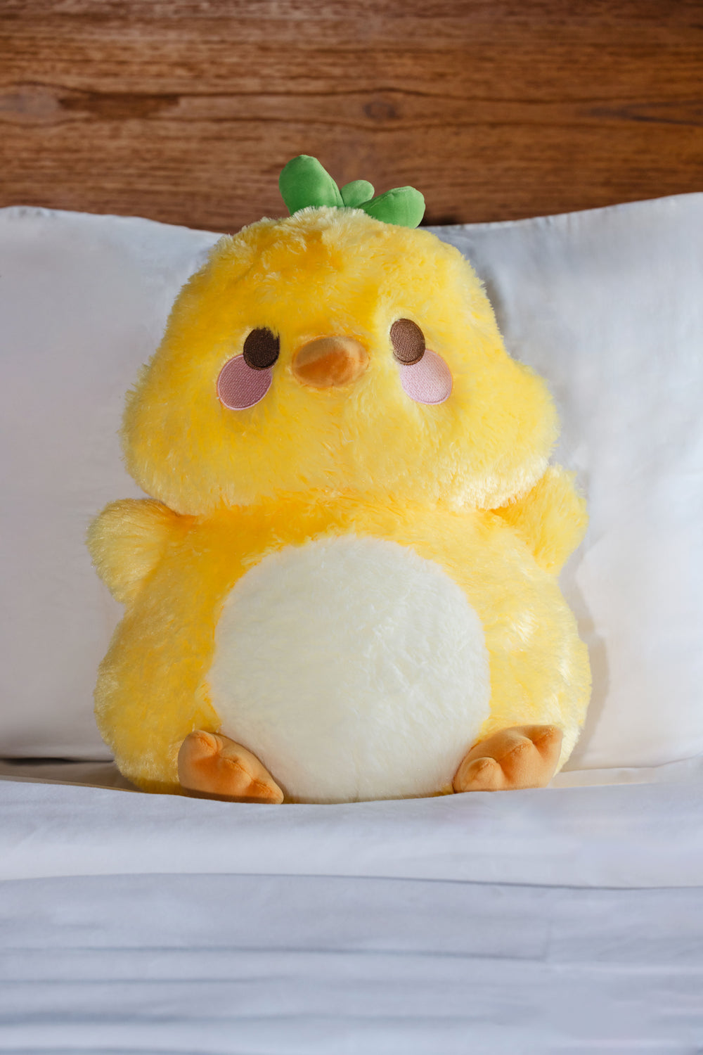 Cheese the Duck Plush